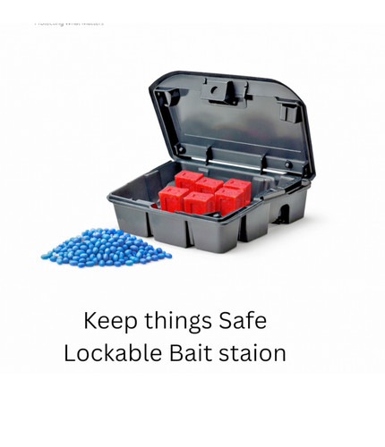 Strong rat poison safe - rat,