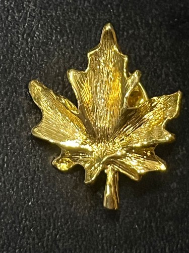 Maple leaf gold color - , pin