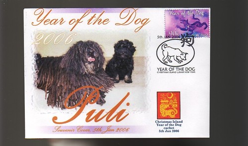 Hungarian puli 2006 year - hungarian,