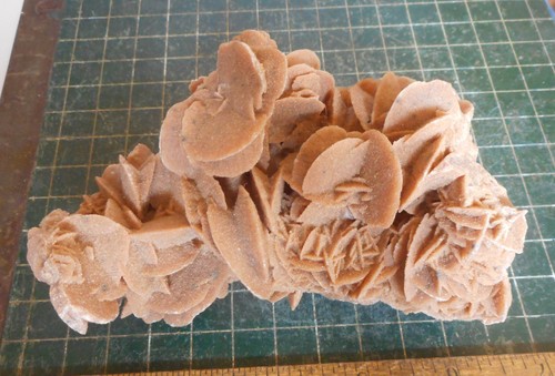 Desert rose selenite - rose, natural
