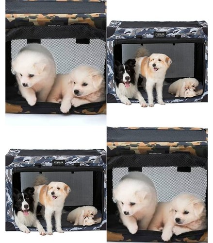 Collapsible dog crate - collapsible,