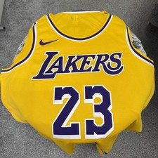LA Lakers LeBron 23 Nike Basketball Jersey Authentic Size Large 