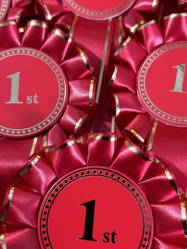 Tier red 1st place - 10,