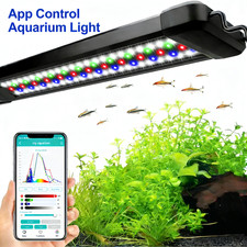 145cm programmable aquarium - 60-145cm,