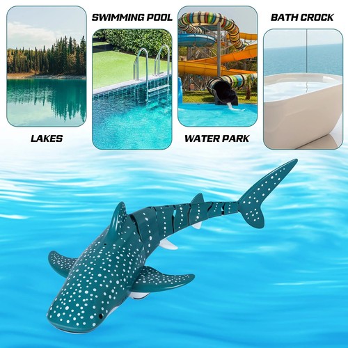 Smart shark whale - shark,