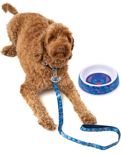 Disney bowl collar charm - collar,