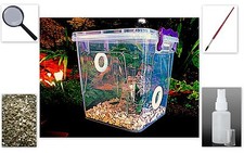 Praying Mantis,Stick