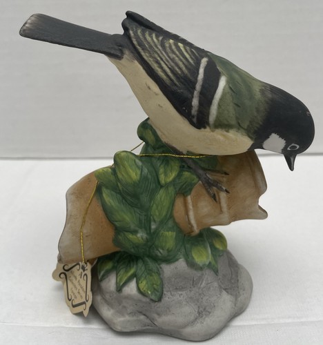 Coal tit bird sat a - coal, on