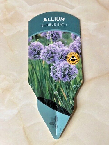 Allium bubble bath - bubble, bath'