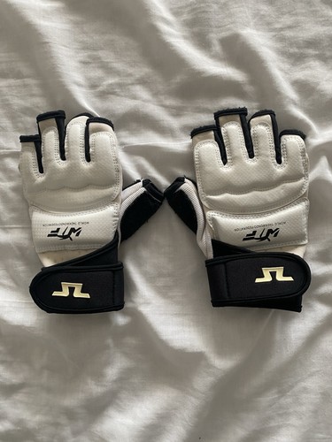 Taekwondo sparring kit - taekwondo,