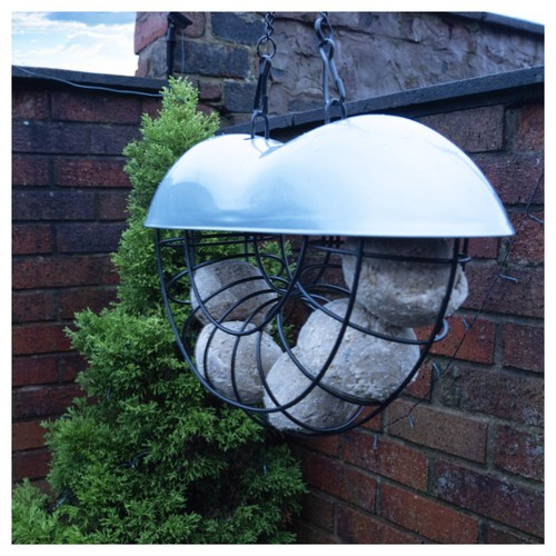 Metal suet bird - suet, with
