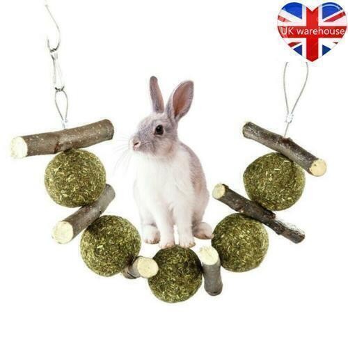 Grass treats bunny - treats, toy
