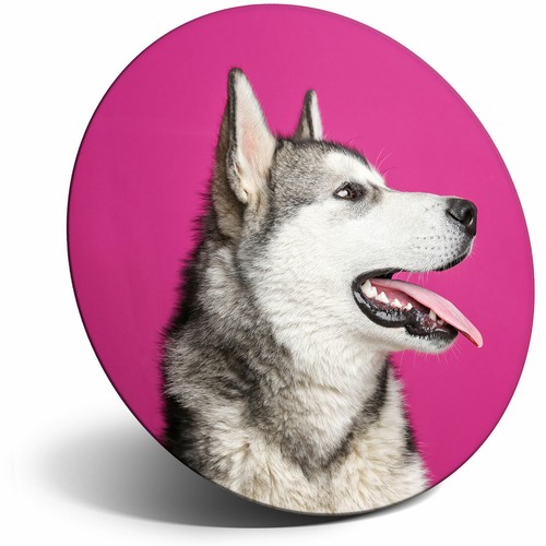 Awesome fridge magnet - awesome,