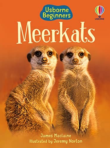 Meerkats james - (beginners),