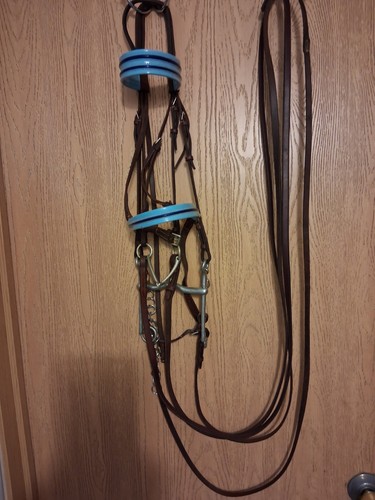 Full bridle with bits - full,
