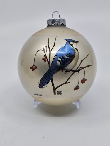 Chuck ripper blue jay - chuck, bird