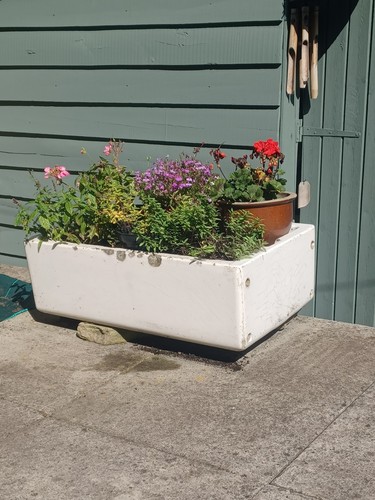 Vintage belfast pot - vintage,