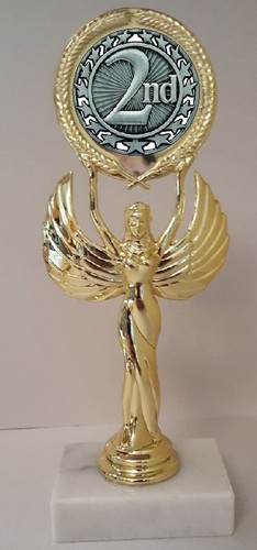 2nd place trophy tall - 8-1/4",