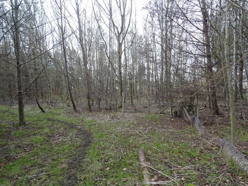 Photo 6x4 path east - 6x4, path,