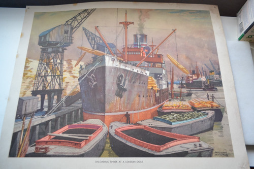 Macmillan school poster - school, 89