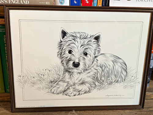 Pollyanna pickering westie - pollyanna, dog