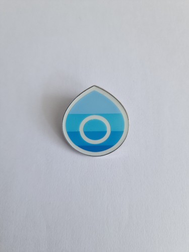 Galar hulbury gym badge pin - gym,