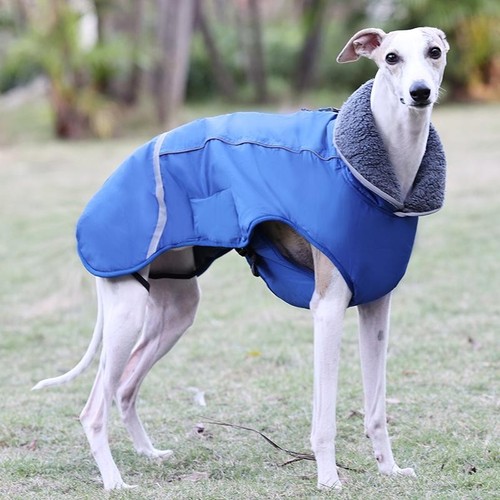 Pet winter jacket for all - pet,