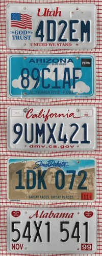 American license licence - american,