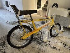 Fizzy Lemon Mk4 Raleigh