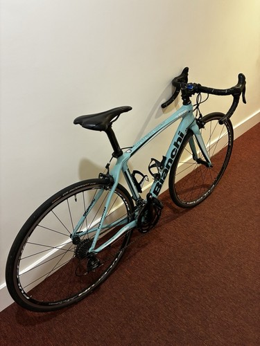Bianchi intenso celeste 50cm - celeste,