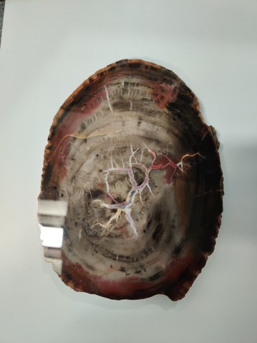 Fossil petrified wood 12mm - fossil,