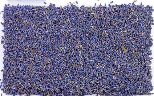 Dried lavender flowers - dried,