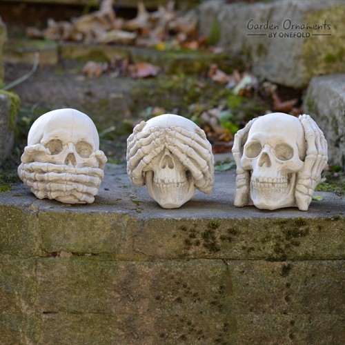 Wise skull set see hear - set, speak
