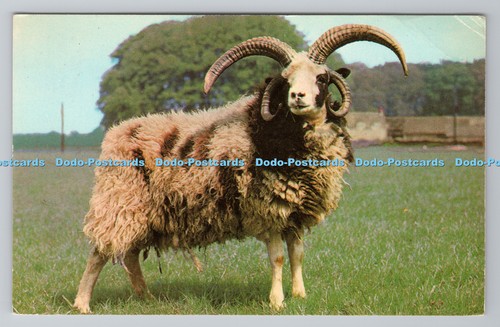 R791384 cheltenham glos - r791384,
