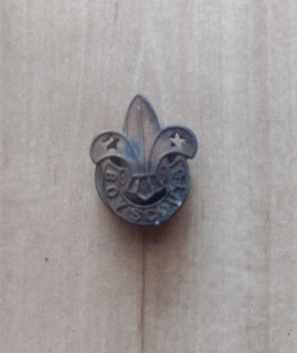 Vintage boy scouts pin - vintage,