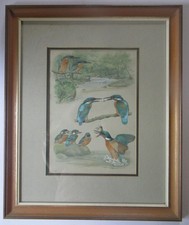 Original PETER BARRETT Listed