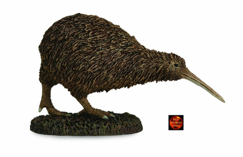 Kiwi new zealand - zealand, toy