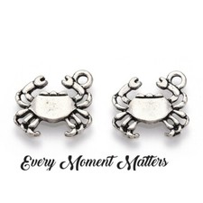10 x Tibetan Silver CRAB SEA