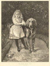 "He won't hurt you". By