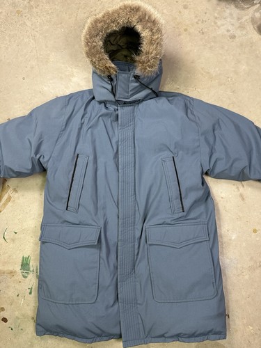 Snow goose canada - goose,