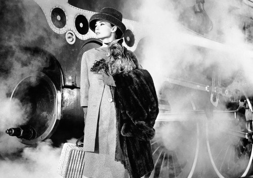 Audrey hepburn monochrome - audrey,