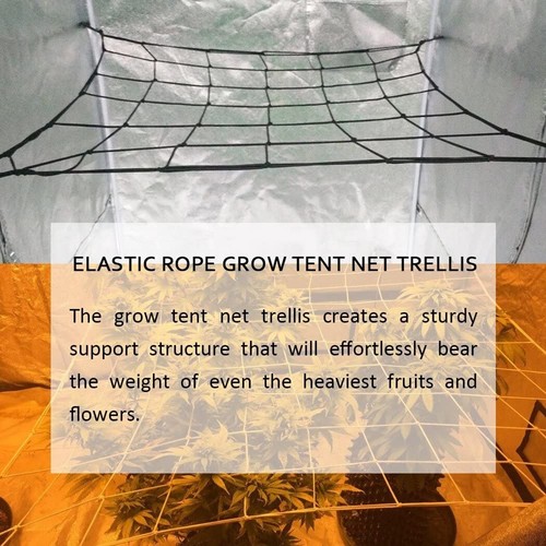 Plant support net great in - net,