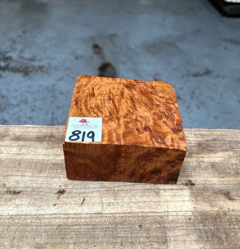 Thuya burr 4 x 2 - x, 2”