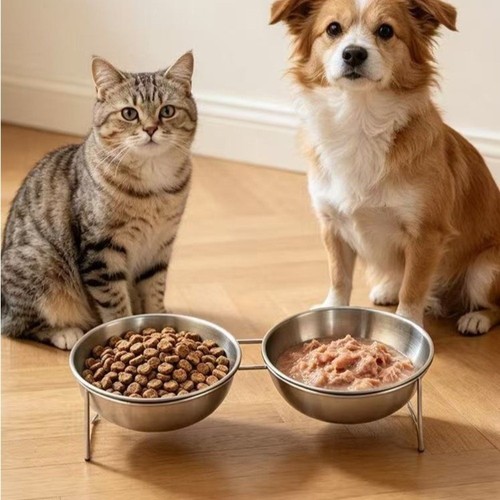 Raised cat bowl - raised,