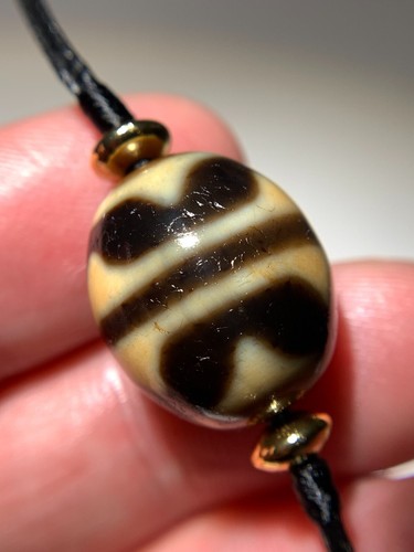 Dzi bead tiger tooth - dzi,