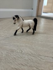 2007 Retired Tennessee Walking Horse Stallion