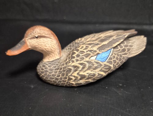 Nature window hen mallard - window,