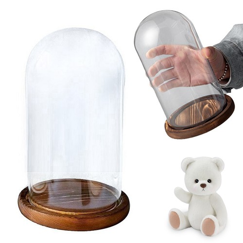 Glass display cloche - display,