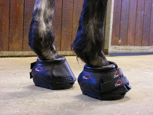 Simple hoof boots shoes - boots, for