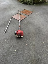 Petrol Long Reach Hedge